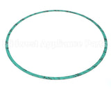 8426401-005 Armstrong Fluid Technology 13" Nitrile Gasket