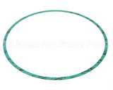 8426401-005 Armstrong Fluid Technology 13" Nitrile Gasket