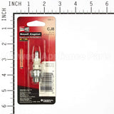 843-1 Champion Cj8 Sm Eng Plug Carded