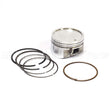 843792 Briggs & Stratton Piston Assy