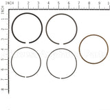 843806 Briggs & Stratton Ring Set