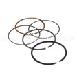 843953 Briggs & Stratton Ring Set