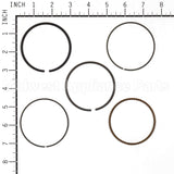 843953 Briggs & Stratton Ring Set