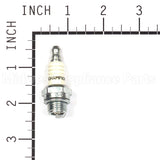 843S Champion Cj8 Shop Pack 24 Plugs