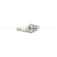 848-1 Champion Cj8Y Sm Eng Plug Carded