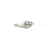 848-1 Champion Cj8Y Sm Eng Plug Carded