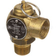 855968-1 Compatible Vulcan Safety Valve 1/2"M X 1/2"F