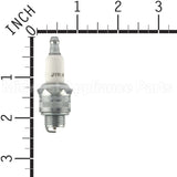 861 Champion J19Lm Sm Eng Spark Plug