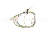 87.01.219 Rational Filling Level Electrode 175 Mm With Wire