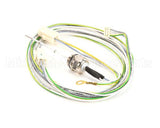 87.01.220 Rational Filling Level Electrode 85 Mm With Wire