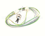 87.01.220 Rational Filling Level Electrode 85 Mm With Wire