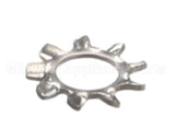 870000 Globe Lockwasher, External Tooth