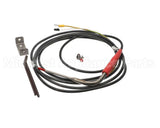 880213 Electrolux Professional 1 Single-Sensor Probe-Bl.c/Freezers Lw