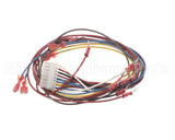 88292 Henny Penny Harness-Control Module Power