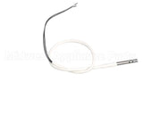88613 Fisher Scientific Temp Probe