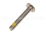 890345 Globe Sharpener Cover Screw