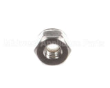 890380 Globe 8-32 Stn. Stl. Nylok Hex Nut