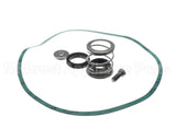 8975000-98405K Armstrong Fluid Technology Mech Seal Kit W/ 13" Gasket