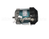 120158-01 Globe Knife Motor (115Vac/60 Hz)