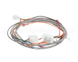 8074597 Frymaster Harness, D Series Wiring