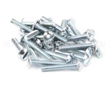 8261361 Frymaster Screw, (8090111) Qty. 25