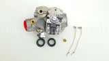 700-059 Robertshaw 1"Ngvlv24Vslowopenip,Hsi,Dsi