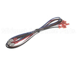 90031229 International Environmental Wiring Harness