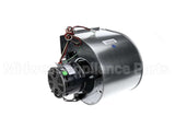 90048028 International Environmental Motor Assembly