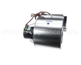 90048028 International Environmental Motor Assembly