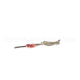 9006800 Garland Rtd Sensor(Temp.probe)