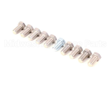 9031001-01P Ice O Matic Y 10Pk Screw Hex Hd