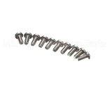 9031008-02P Ice O Matic 10Pk Screw Php #832X38