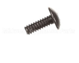 9031237-01 Ice O Matic Screw Phil Truss