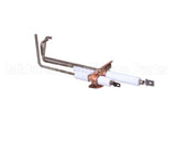 9138-1 Crown Steam Electrode Assy.