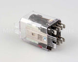 8070670 Frymaster Relay, Dpdt 24V