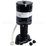 9161079-06 Compatible Iceomatic Water Pump - 240V