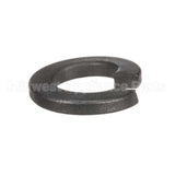9321058 Delfield Washer,5/16,Split Lock