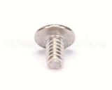 9321250 Delfield Screw,#6-32X.25,S-P-Tr-M
