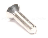 9321498 Delfield Screw,1/4-20X31/32,S-S-