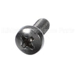 9324154 Multiplex Screw,M4X10 Ss Ph-Ms