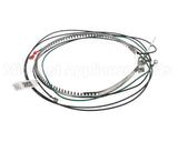 93M16 Lennox Belt 480V 70W 50" Leads Htr