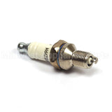 940 Champion Rdz19H Sm Eng Spark Plug