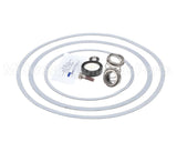 950388F Raypak Seal Kit W/Gaskets