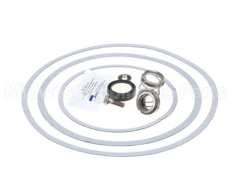 950388F Raypak Seal Kit W/Gaskets