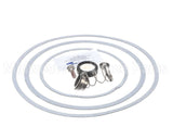950388F Raypak Seal Kit W/Gaskets
