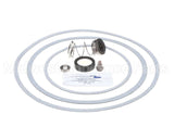950388F Raypak Seal Kit W/Gaskets