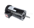 96020045 Jackson Motor, Wash, 2Hp, 3Ph