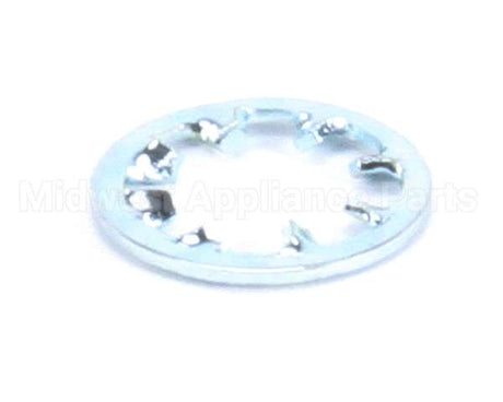 962-19 Globe Lockwasher Ss Int Tooth