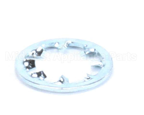 962-19 Globe Lockwasher Ss Int Tooth