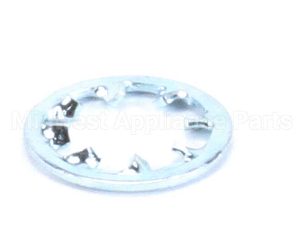 962-19 Globe Lockwasher Ss Int Tooth